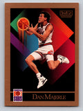 1990-91 SkyBox #226 Dan Majerle