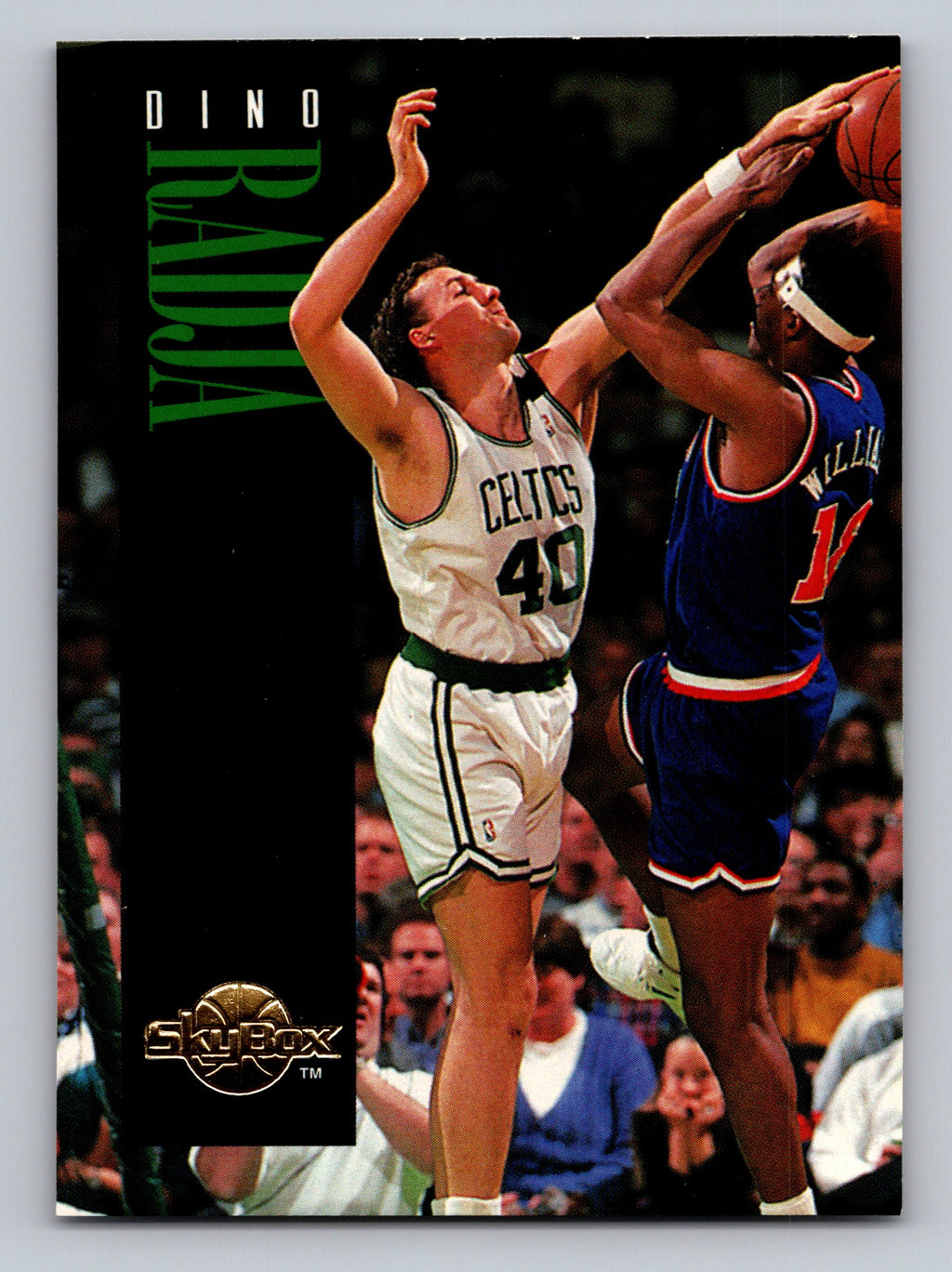 1994-95 SkyBox Premium #13 Dino Radja