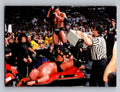 2000 Comic Images WWF Rock Solid #39 Say Cheese